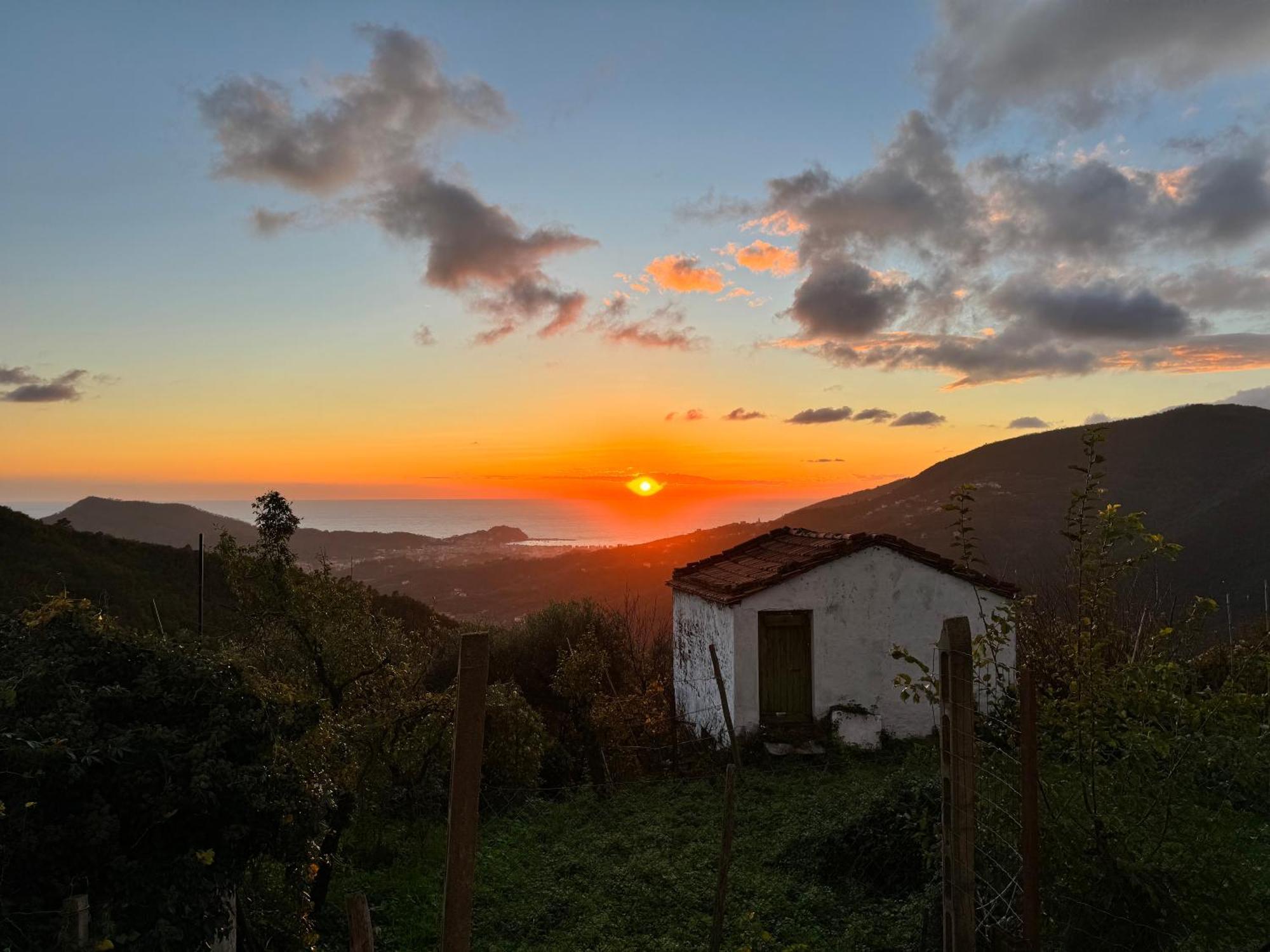 La Collina Sul Mare - Casa Vacanze Sestri Levante Kültér fotó